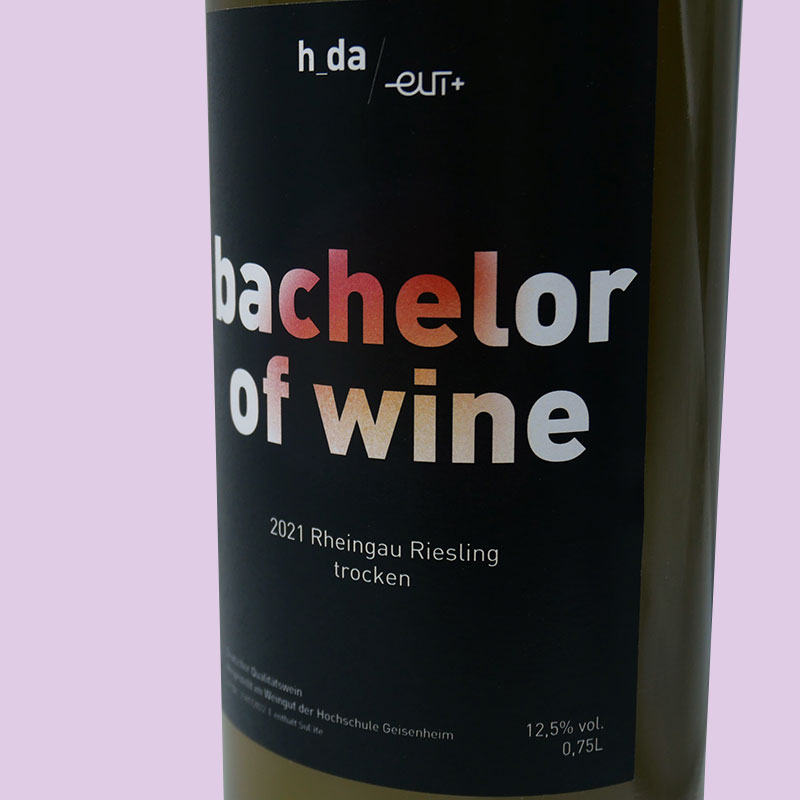 Wein "bachelor of wine"